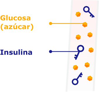 Diagrama que muestra cómo el azúcar se acumula en la corriente sanguínea